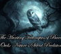 The Hunting Techniques of Barn Owls: Nature’s Silent Predators