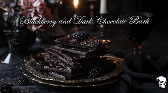 Blackberry and Dark Chocolate Bark